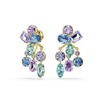 Boucles d'oreilles Swarovski Femme in Acier 5737450